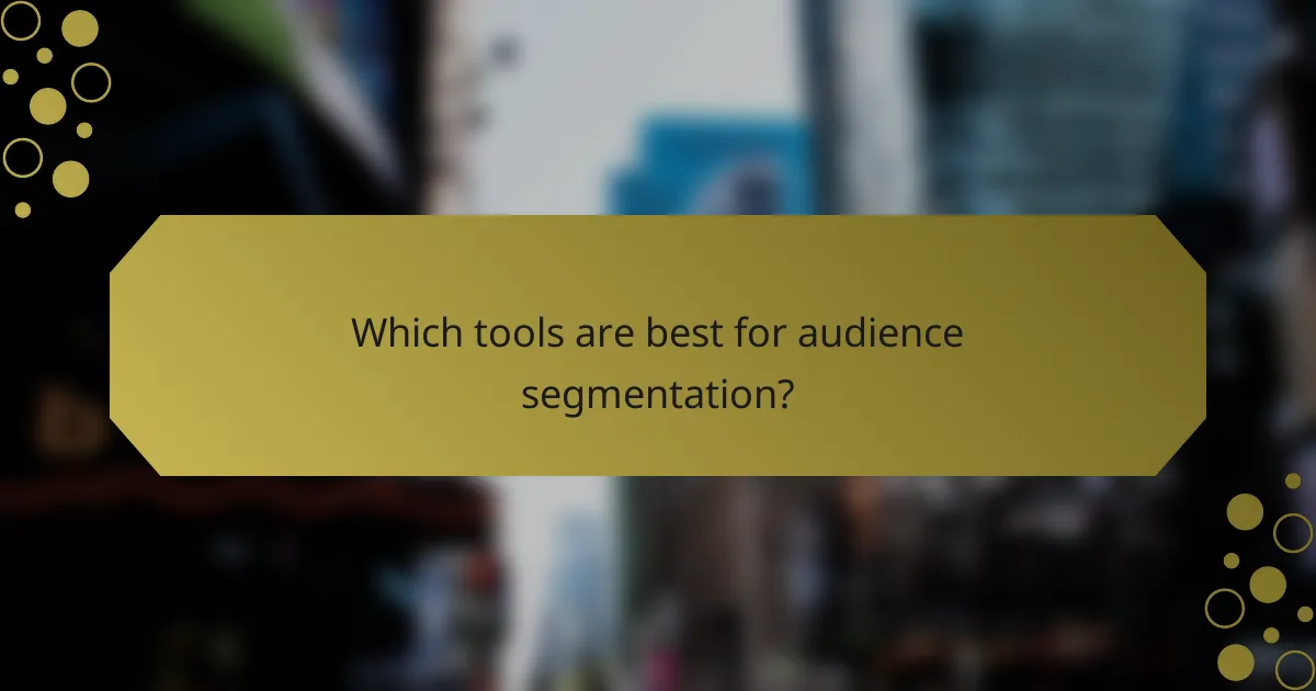 Which tools are best for audience segmentation?